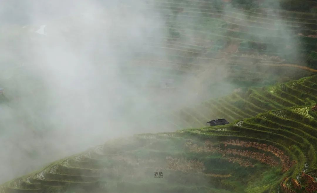农造田野丨总有一根神经通往乡野|月亮山百里梯田