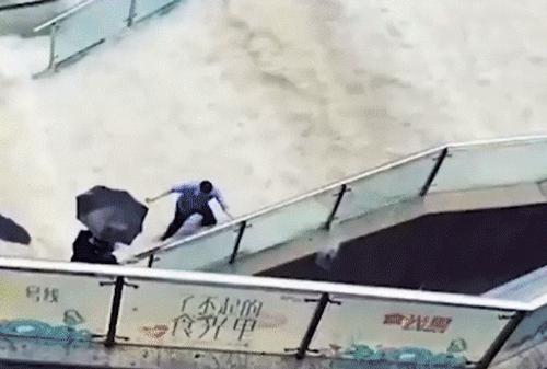 最近几天点赞最高的短视频,全国点赞最高的10个视频