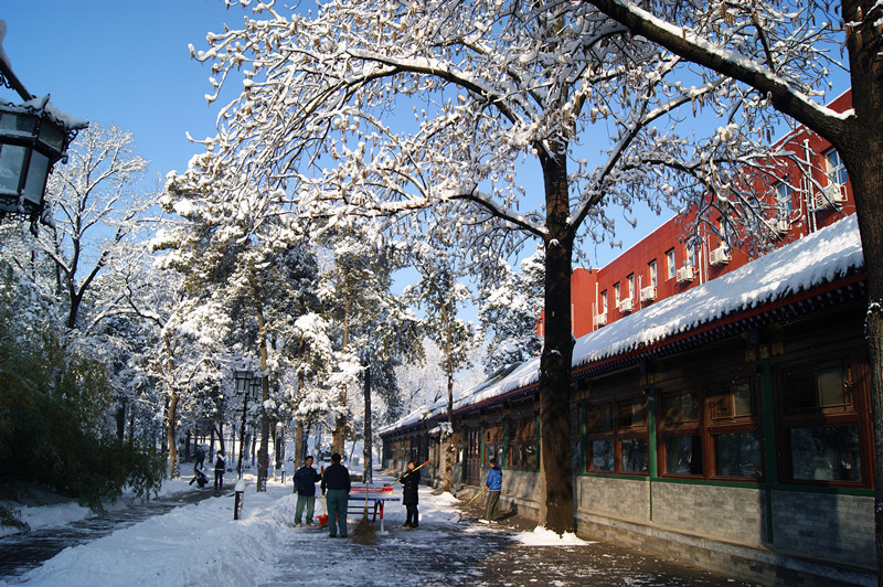 每日一校北京大学,每日一校领科教育