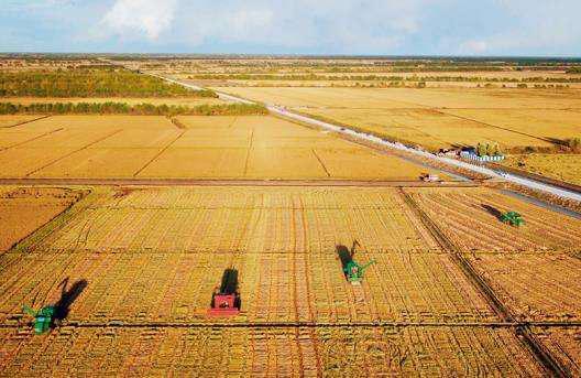 农业托管知识,托管农业是主流方向