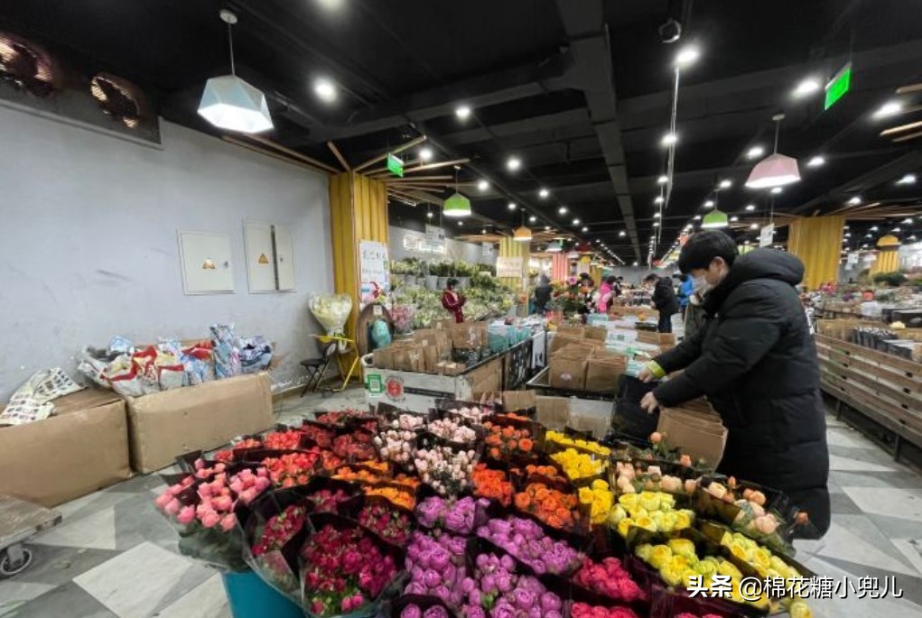 北京盆栽花卉批发市场,北京众兴花卉批发市场