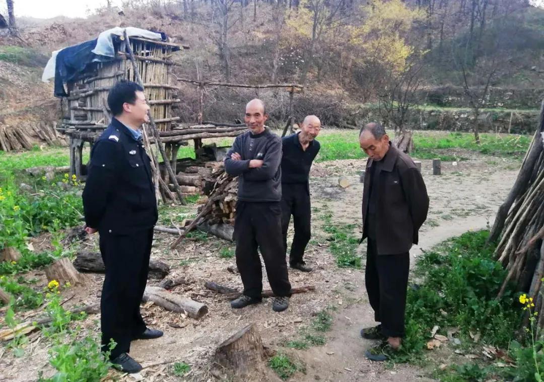 深山看猴记,深山看茶叶视频