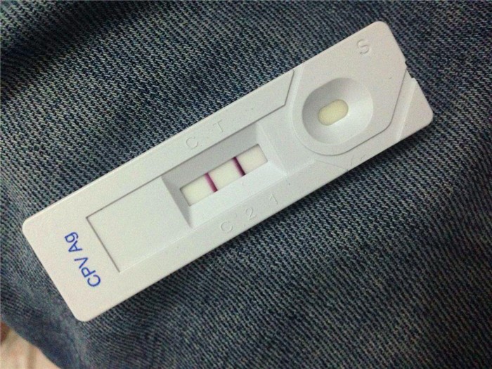 狗狗打完疫苗会有不良反应吗,狗狗打疫苗后不良反应多久能正常