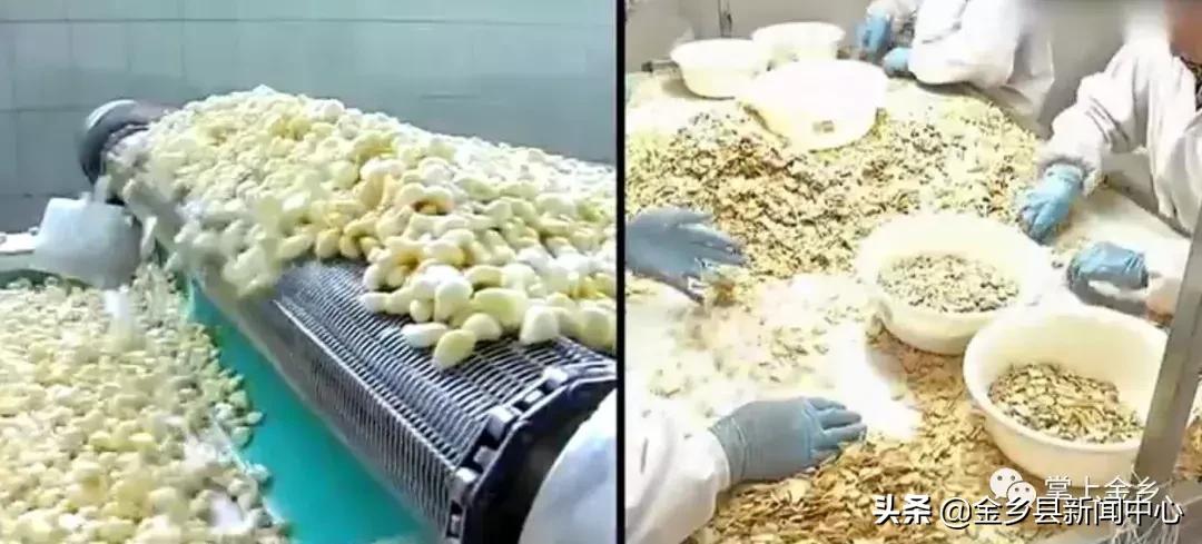 红五月邀请函,红色主题邀请函