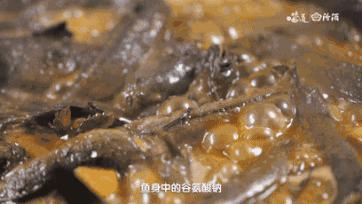 拥有中国最美海岸线的小县城,浙江四个冷门海岛