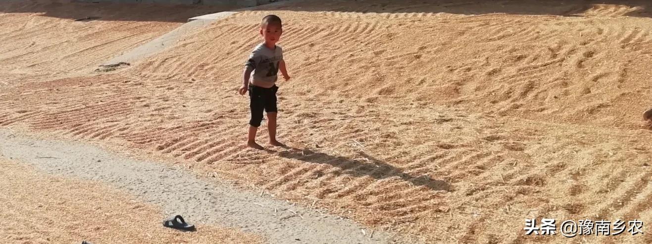 我，为侄子终身未嫁给他买房，侄媳把我赶出家门后为何又接我回去