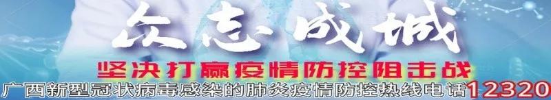 来宾市有个什么少数民族自治县,首批广西少数民族特色村寨名单