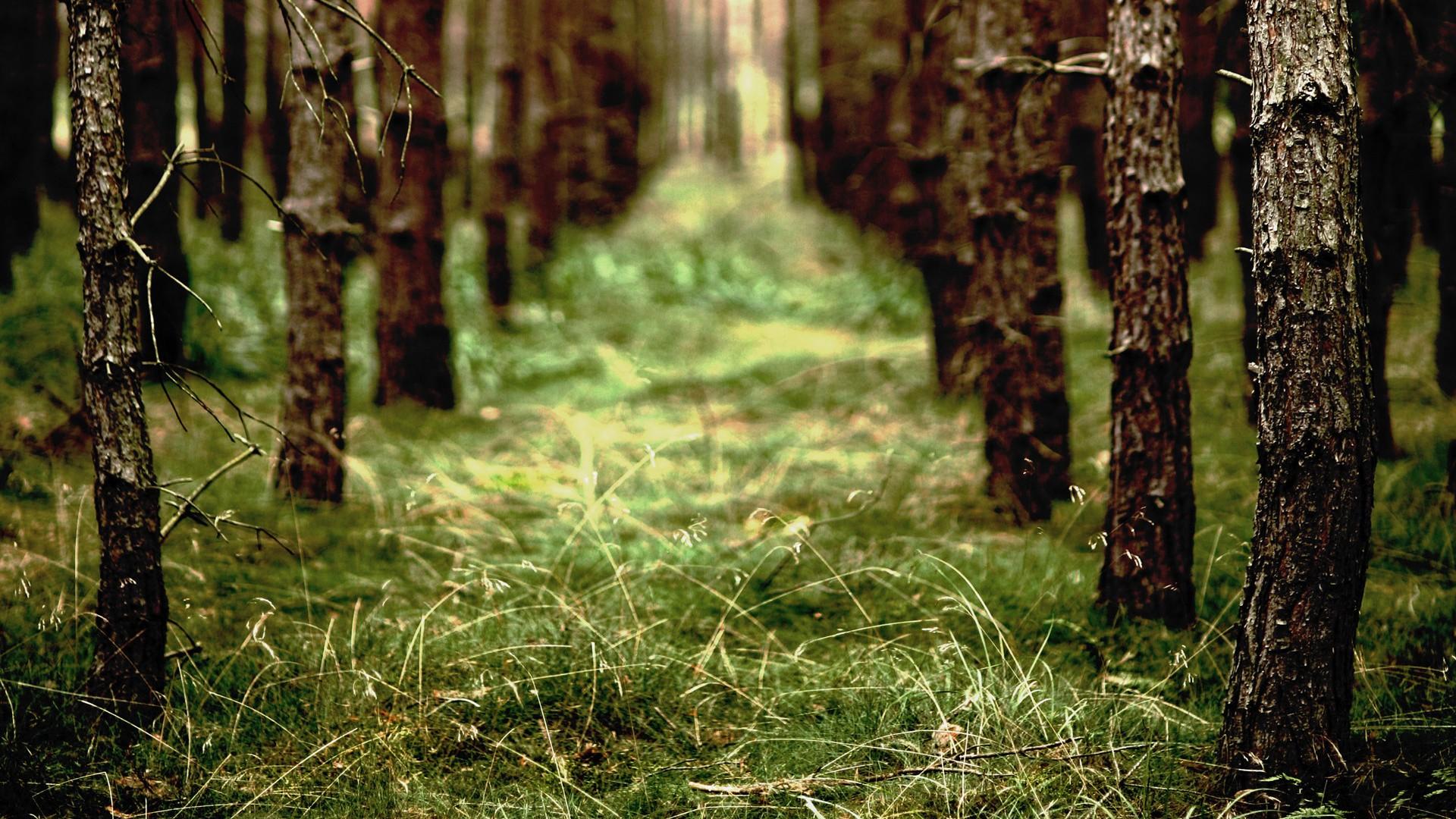 金蝶kis迷你版外币凭证怎么录入,金蝶kis迷你版如何建下年的账套