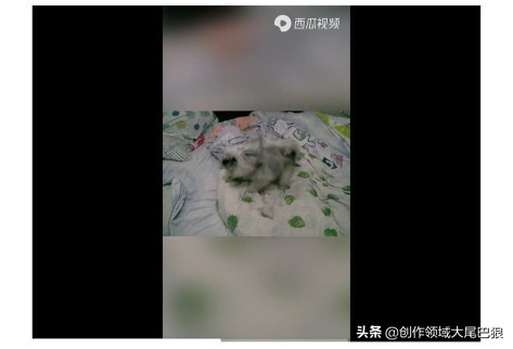 手机录制视频怎么让电视全屏播放,电视里怎么放录制视频