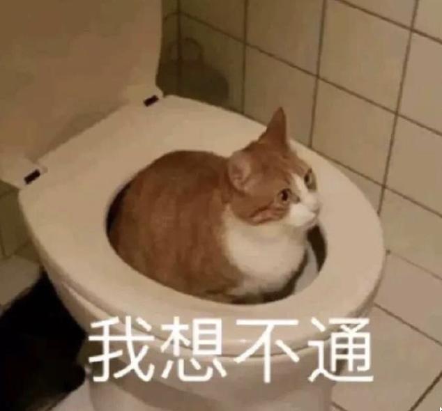 “我堂堂宾大毕业高材生，回国后竟然天天做Excel表”