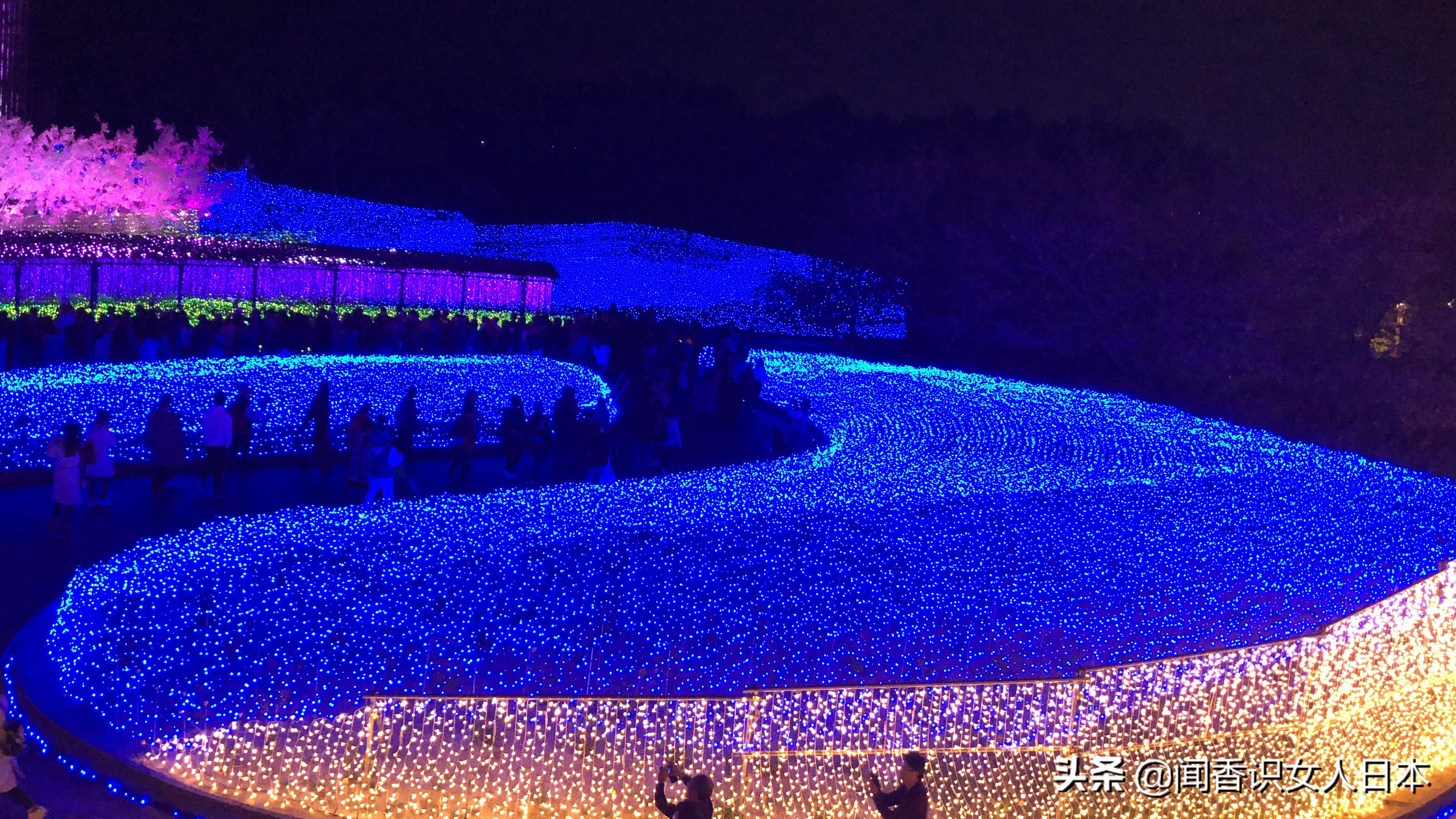 日本最美夜景,日本最美水上光影隧道