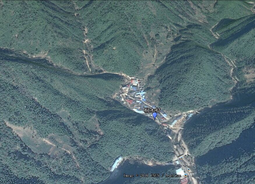 从业十年我所经历的火爆和低迷,茶行业真实揭露