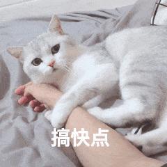 yeezy满天星正品去哪里买,yeezy350满天星