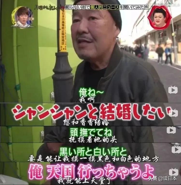 日本的顶级流量担当者大熊猫！日本人的熊猫情结疯狂到你想不到