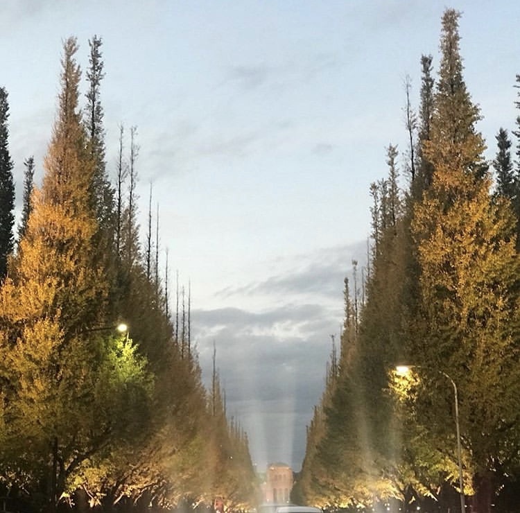 年末大扫除必备清单,年末大扫除日本