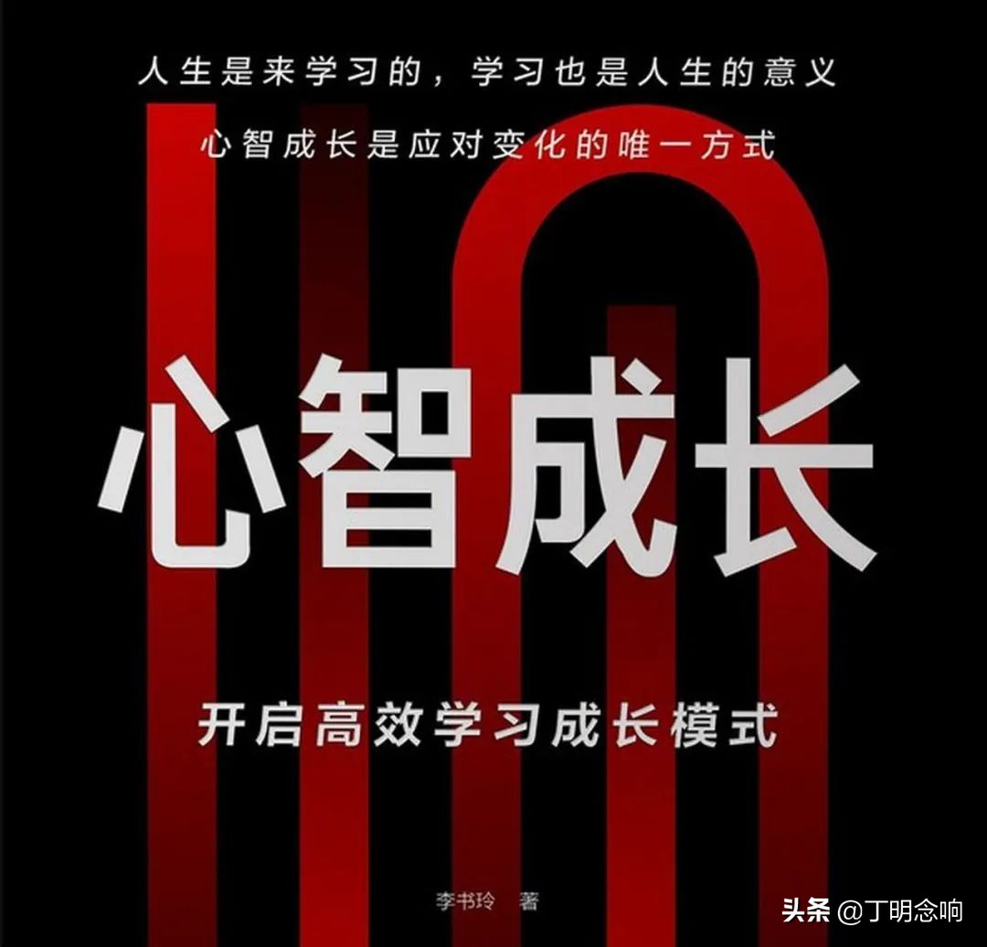 如何破解什么都想学,却什么都学不会的焦虑,这本书会给你答案