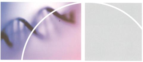 细胞美容学之父——张红凯博士