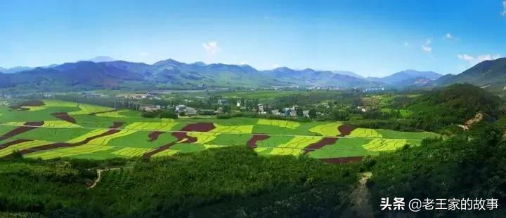 2020年重点农业项目有哪些,2021国家重点扶持的农产品项目