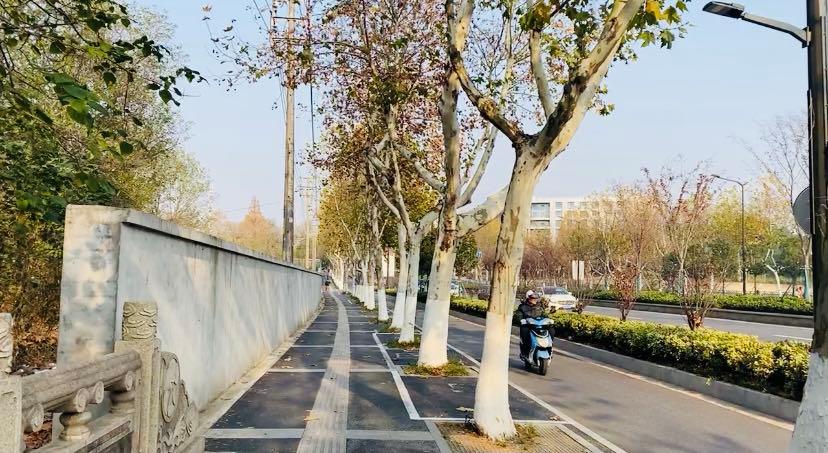 南京可以露营的公园,打卡南京旅游的景点