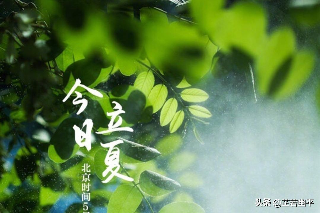 立夏|春红散尽,绿意盈然