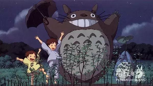 龙猫怎么选好看的,龙猫单纯好看吗