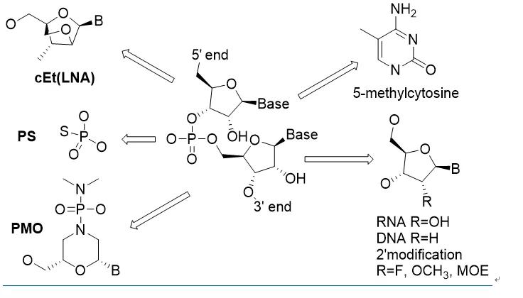 生物科技2024,rna药物发展
