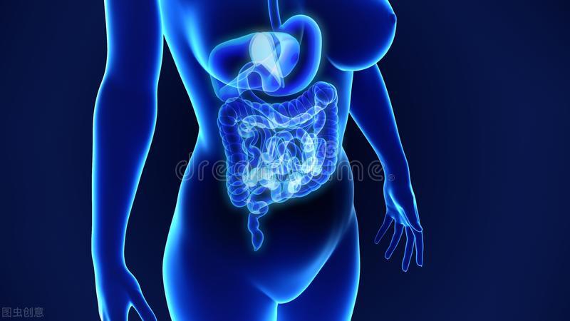 脾虚怎么养出来,脾虚人就瘦么