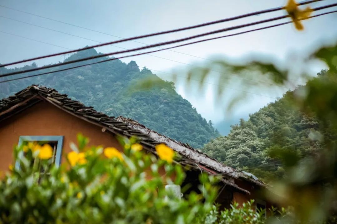 金华小九寨风景区,小九寨原始森林半日游