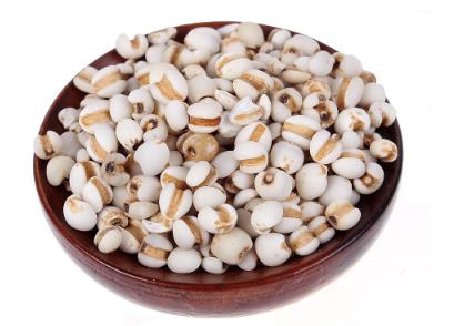 薏苡仁是健脾的还是祛湿的,中药生薏苡仁的功效与作用