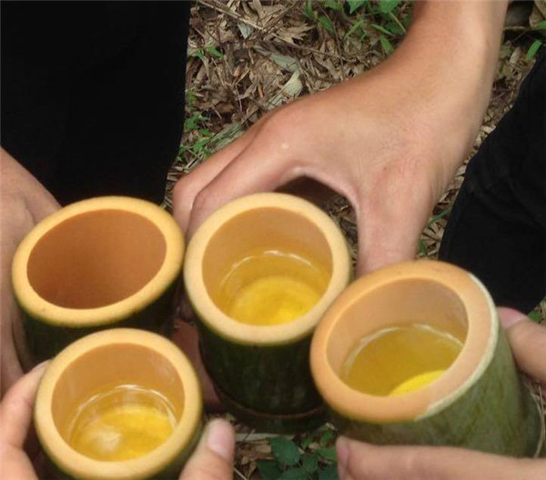 白酒灌进竹子里面会变质吗,酒倒入竹子竹子还能活吗