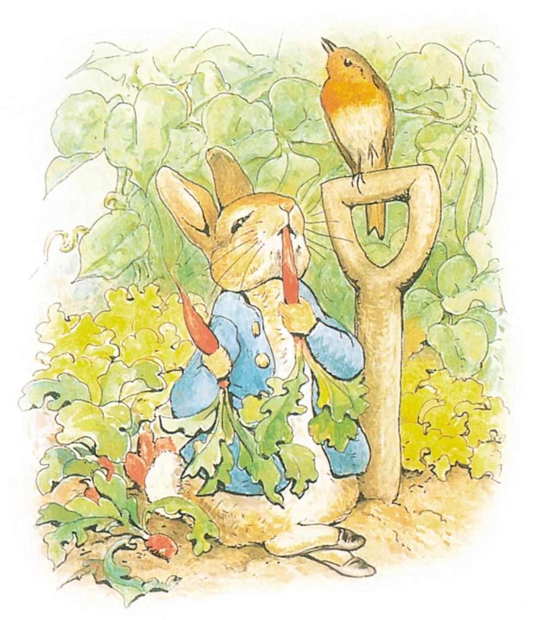 当阿里遇到泰森时,当阿狸遇上貂蝉