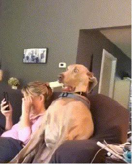 媳妇说丢就丢,媳妇说丢了怎么回