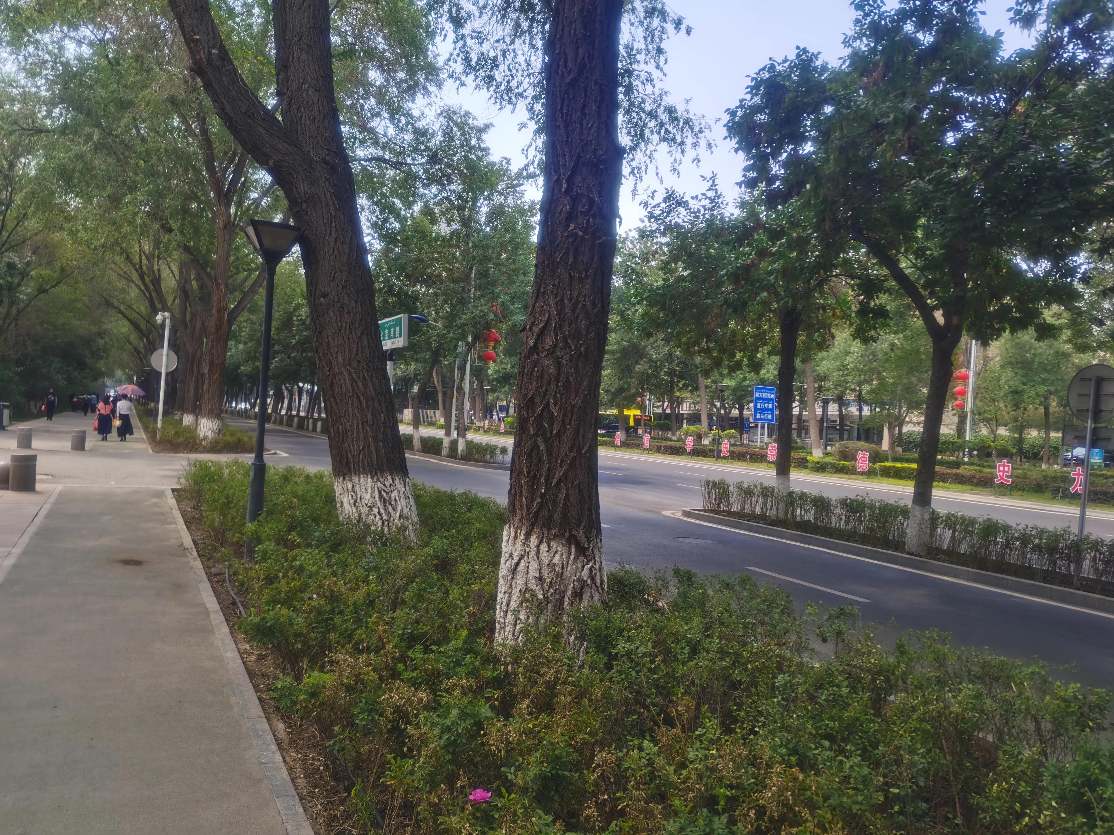 乌鲁木齐最具有改造潜力的路，北京路，改造后堪比“北京长安街”