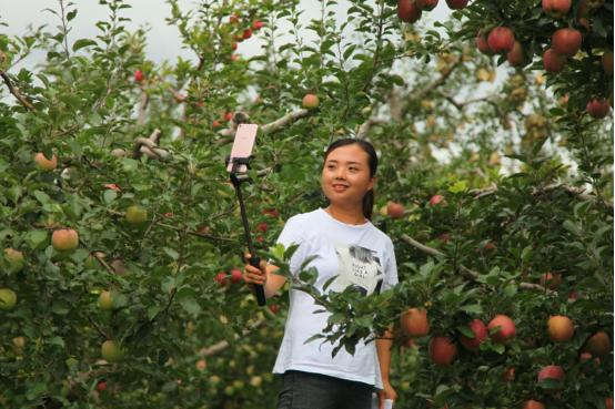 农村淘宝电商新模式有哪些,2017农村淘宝现状分析