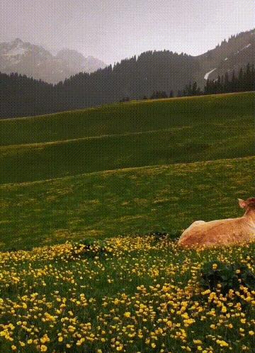 北疆自驾13天路线推荐,国内3条最美出境自驾线