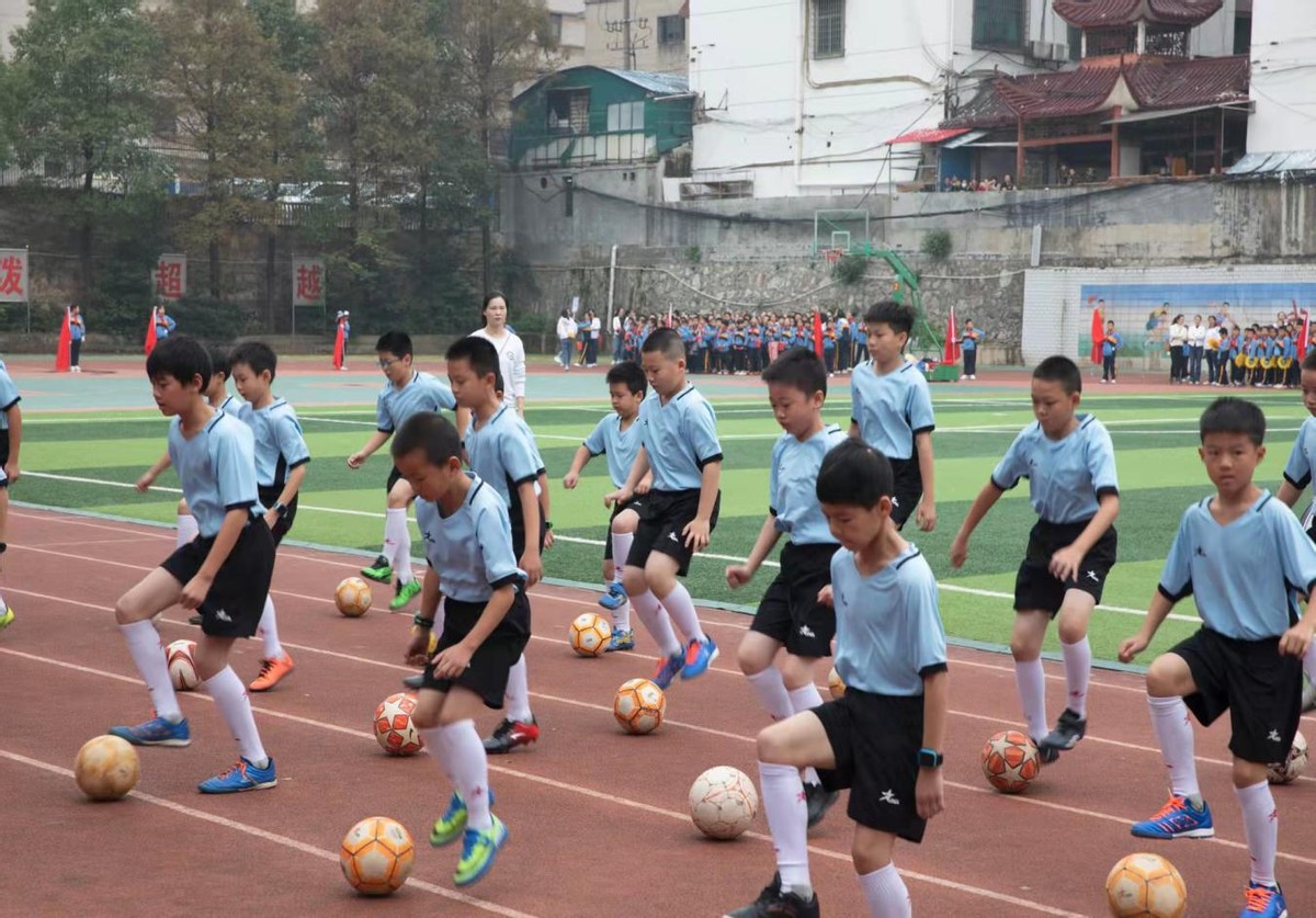 双减政策落地体育,双减政策体育项目