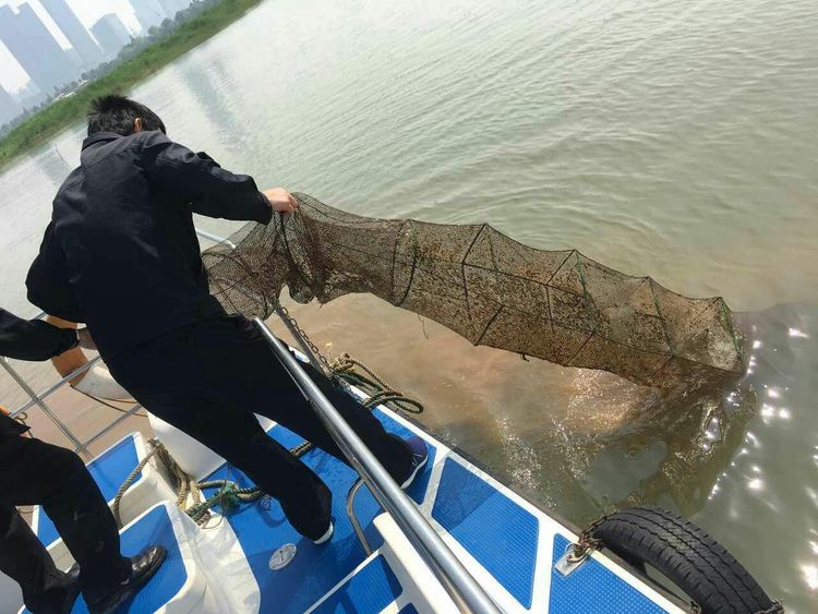 鱼也不能捕了?这三种捕鱼行为均不合规,有人已受罚,农民要注意