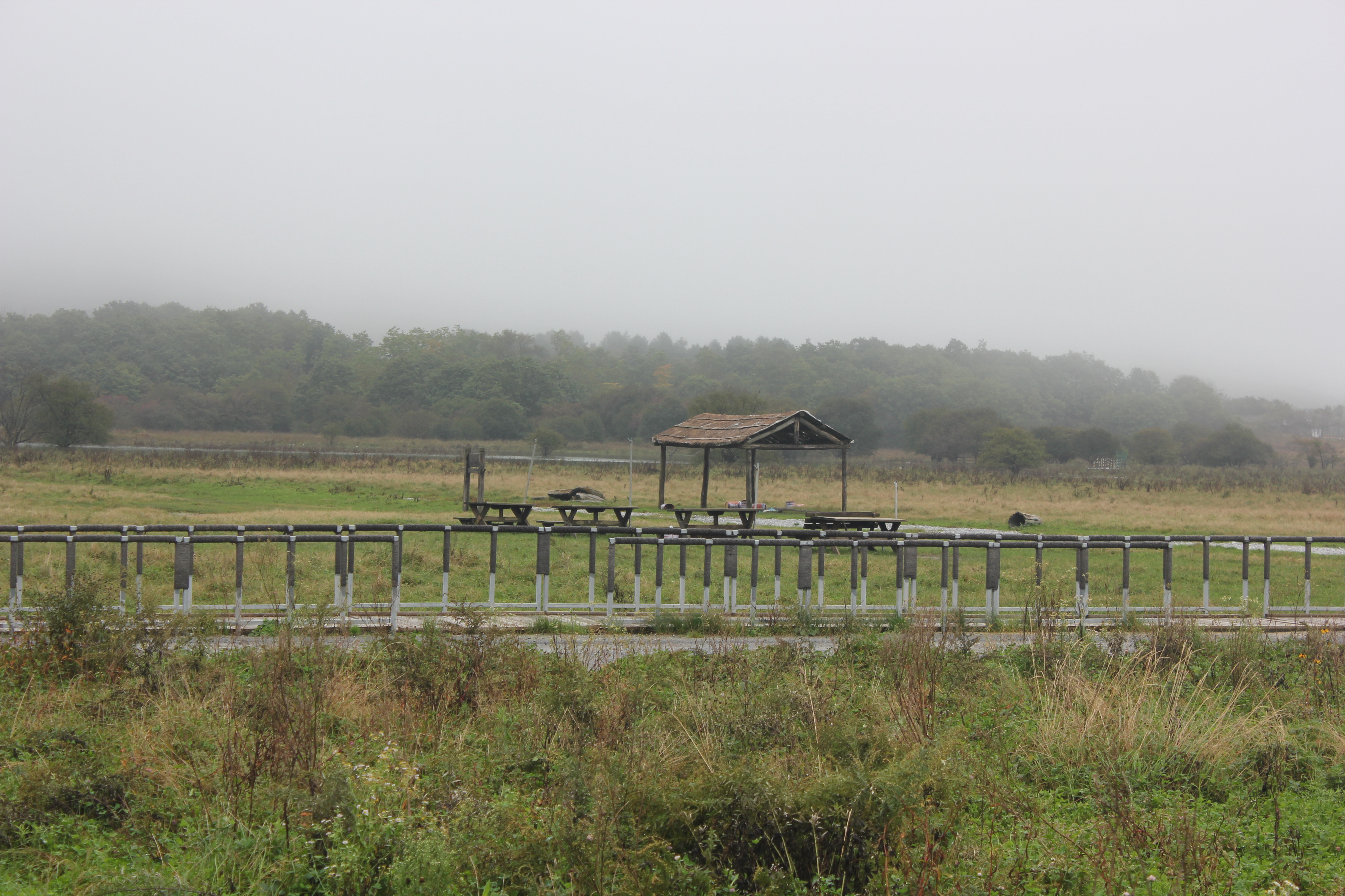 雨中神农架探秘之旅｜国庆节武汉至神农架自驾游攻略分享
