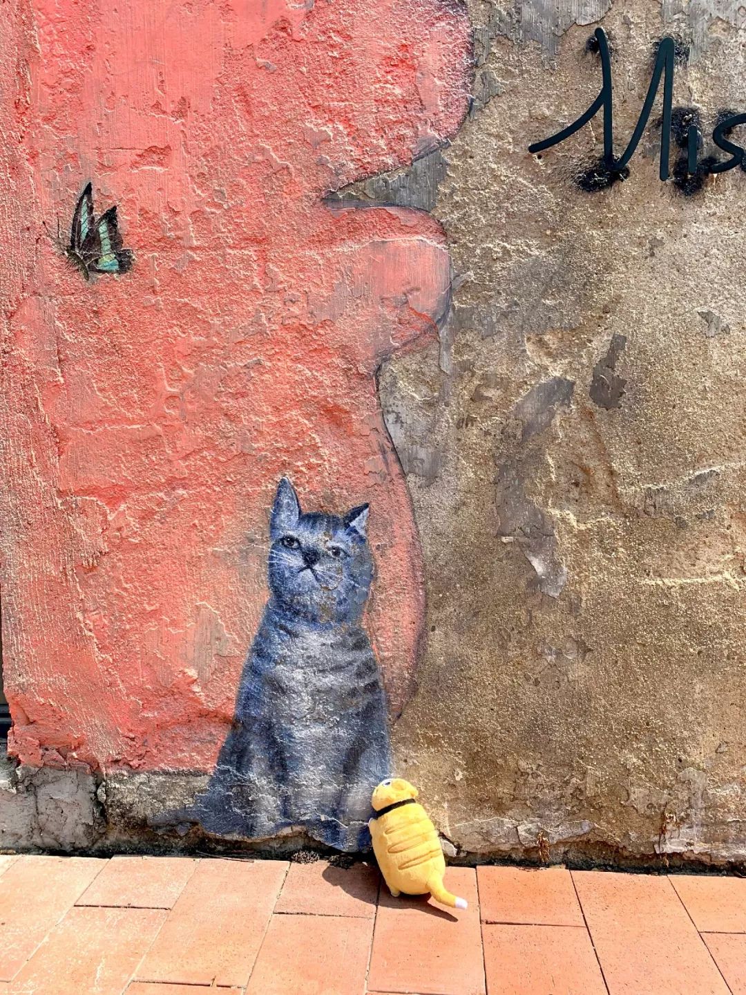 去蛇口玩吗,深圳蛇口值得去吗