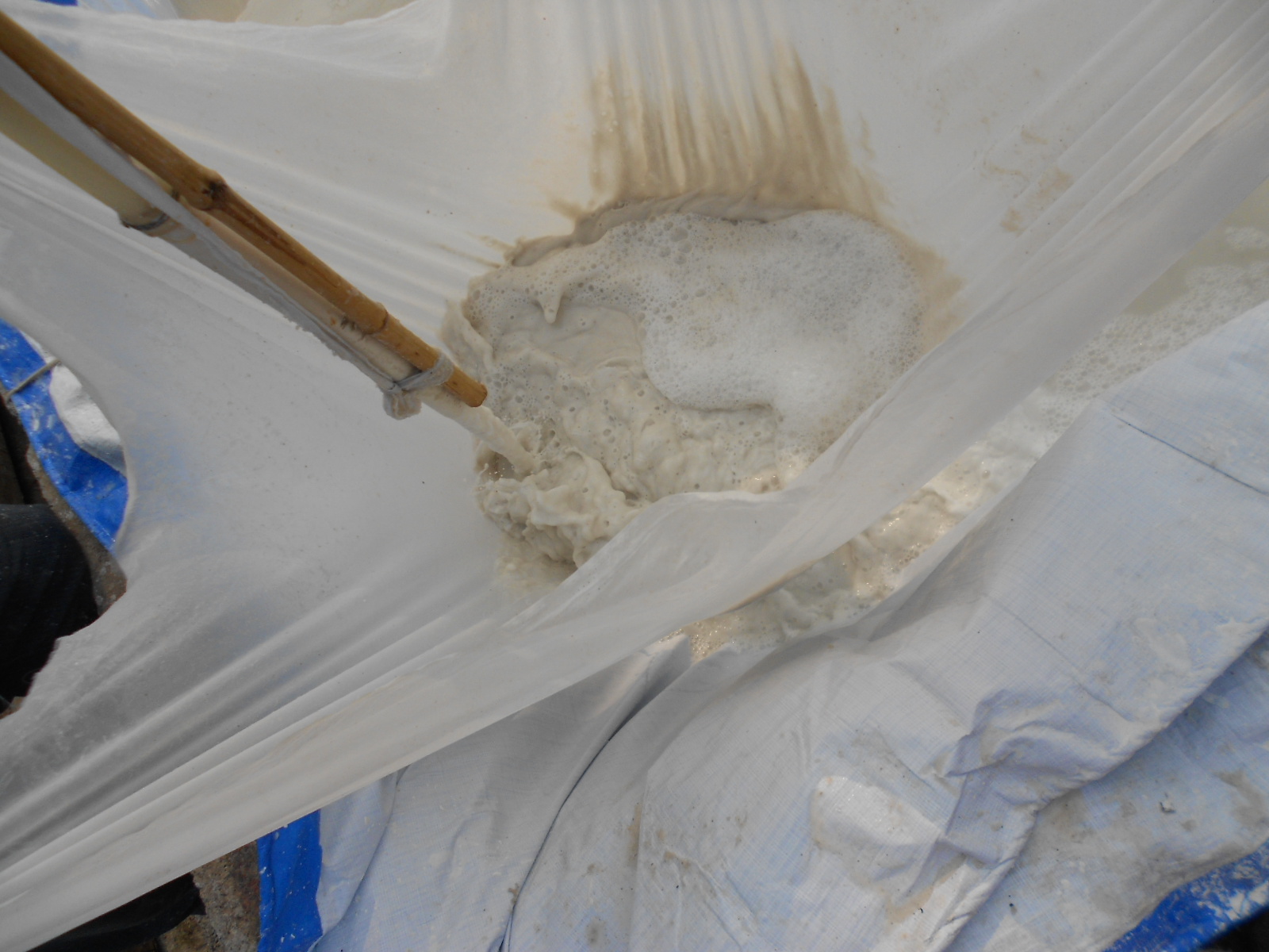 董湖粉丝美味+风味+农业历史，让你开足美食模式