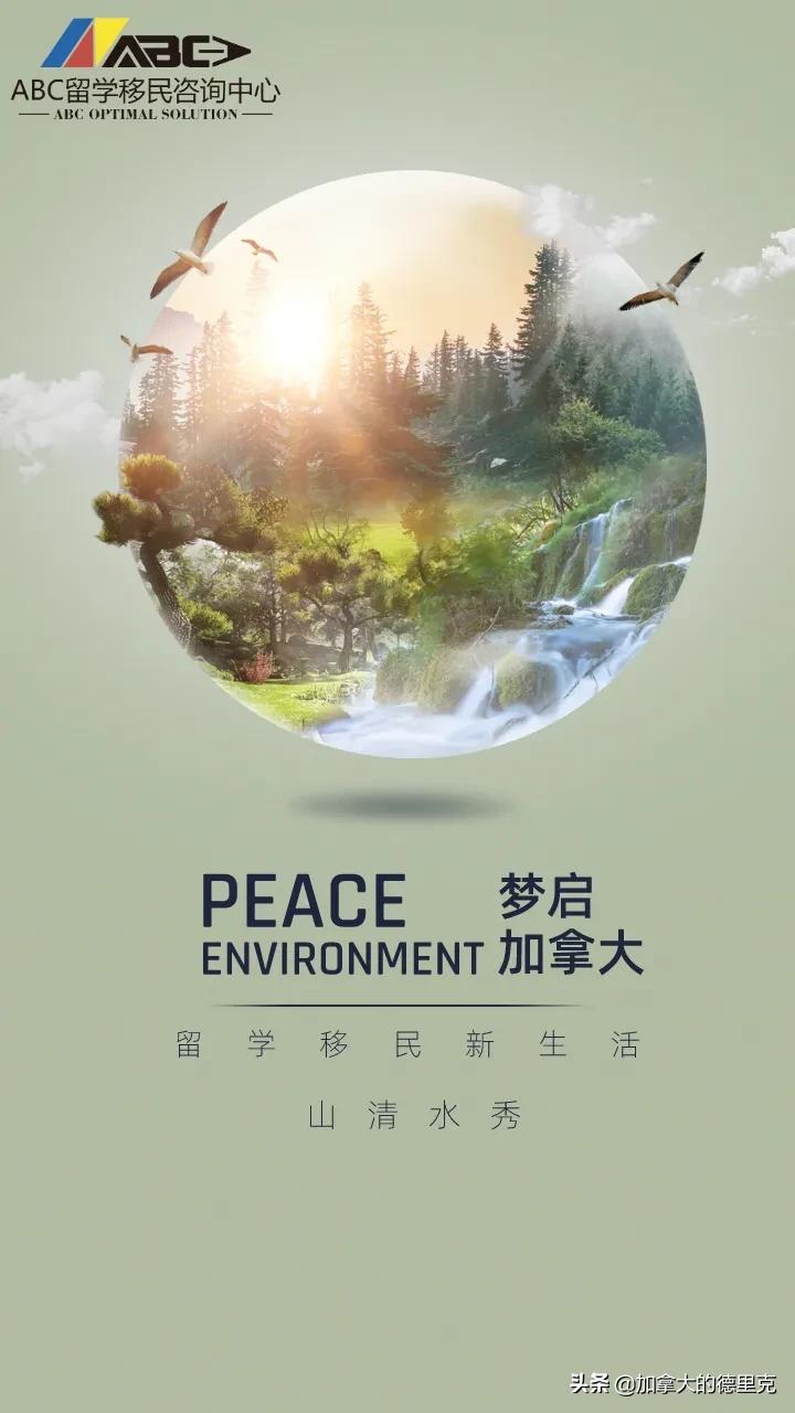 私家!我教你3天加10000粉丝,如何增加粉丝关注