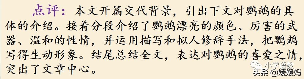 四下四单元我的动物朋友,第四单元我的动物朋友四年级上册