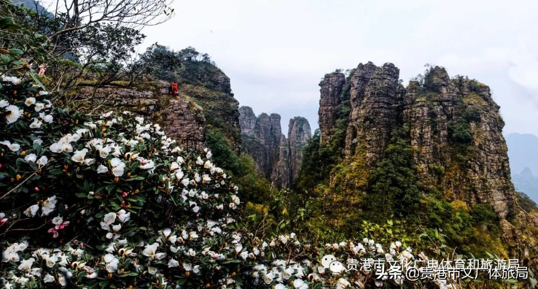 贵港爬山推荐景点,贵港爬山推荐景点有哪些