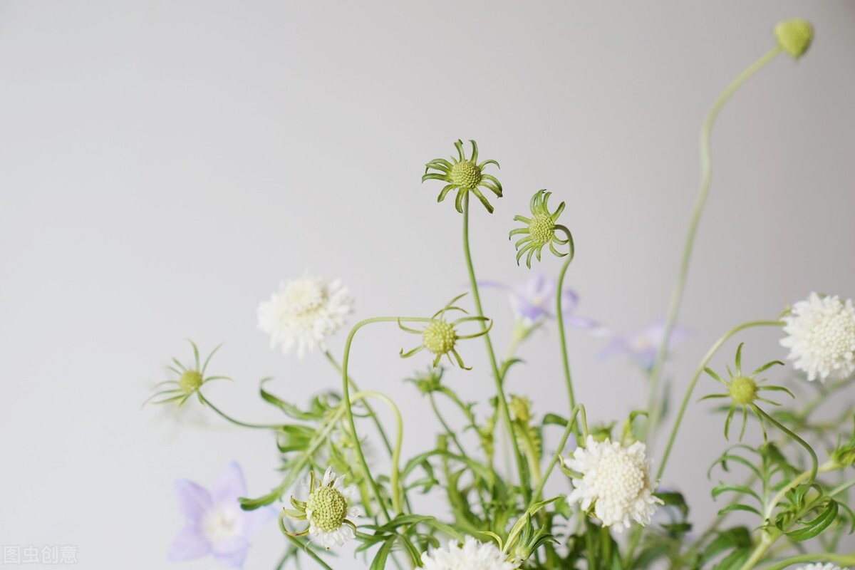 你是否也正在被失眠困扰,失眠睡不着教你如何快速睡觉