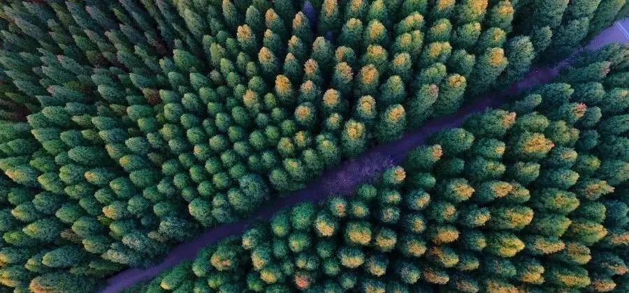 昆明的世外桃源,昆明古朴中式禅意小院