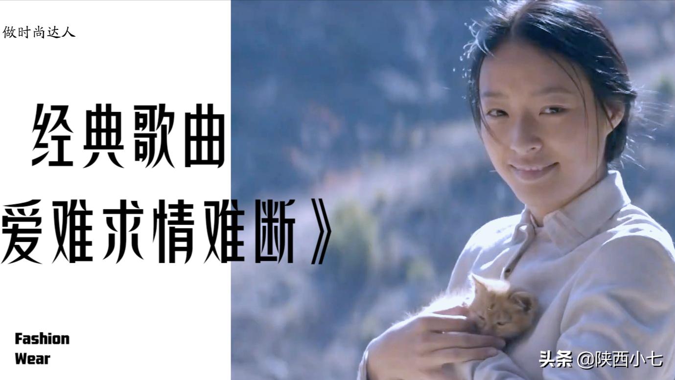 伤感歌曲爱难求情难断,爱难求情难断十首歌曲