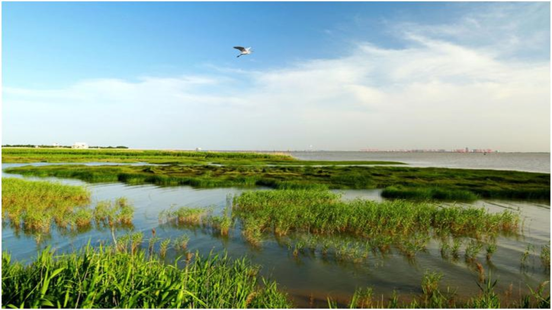 上海崇明岛有哪些旅游景点值得玩,上海崇明岛值不值得去玩