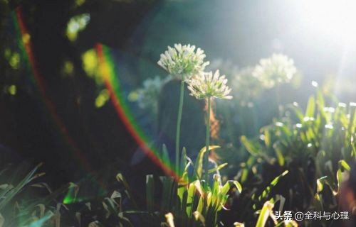 不懂拒绝的人，最后都被拖垮了