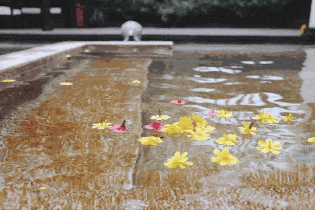 南京水悦汗蒸59元含不含自助餐,水悦汗蒸盛会39元