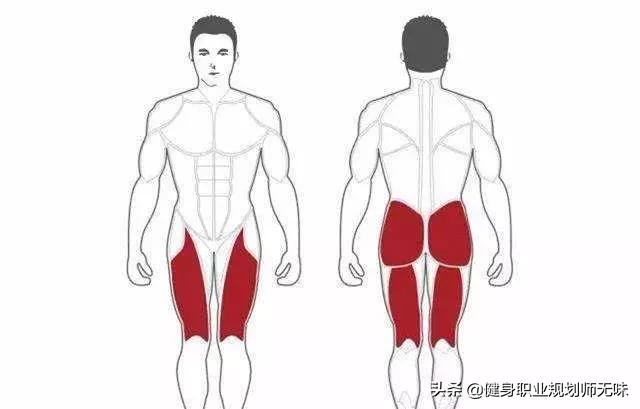 做完深蹲腿酸痛是在长肌肉吗,深蹲新手大腿酸胀该不该继续练